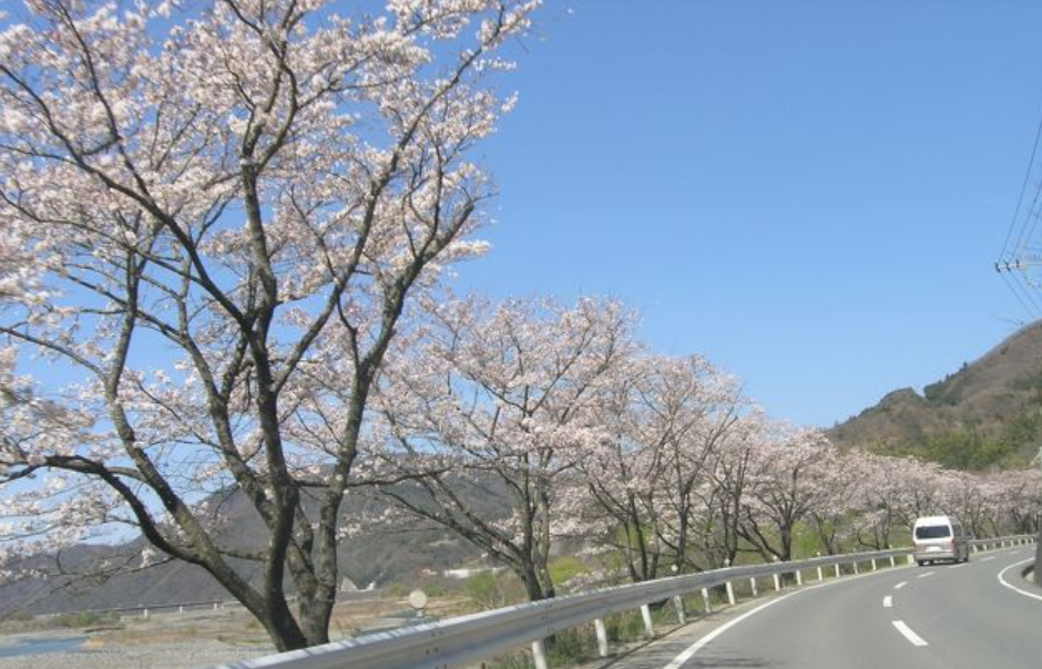 山梨ツーリング　春　桜　富士川身延線